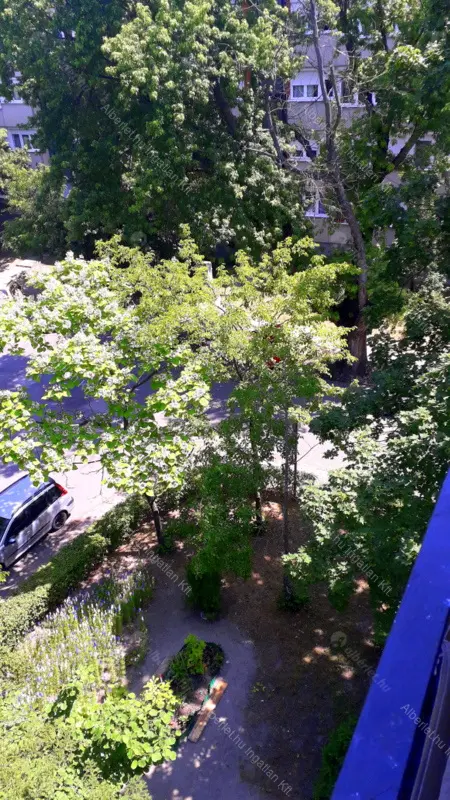 Kiadó albérlet 140000 Ft/hó áron: Szigetszentmiklós,  József Attila utca. Mérete: 32 nm, 1 szobás | Alberlet.hu - 6640006