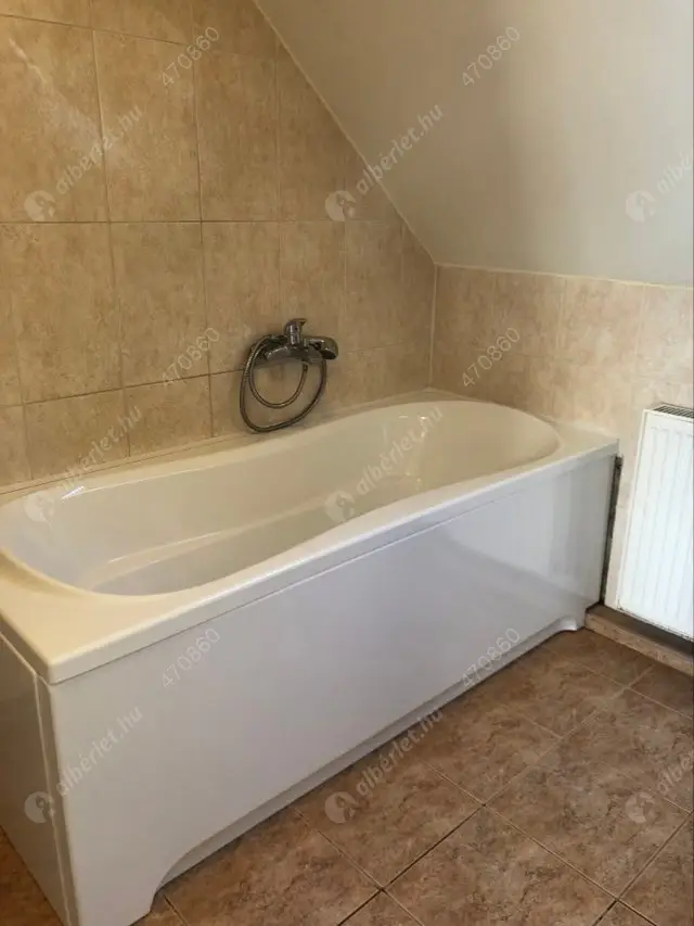 Kiadó albérlet 120000 Ft/hó áron: Szolnok,  Vízpart körút. Mérete: 42 nm, 1 szobás | Alberlet.hu - 5589043