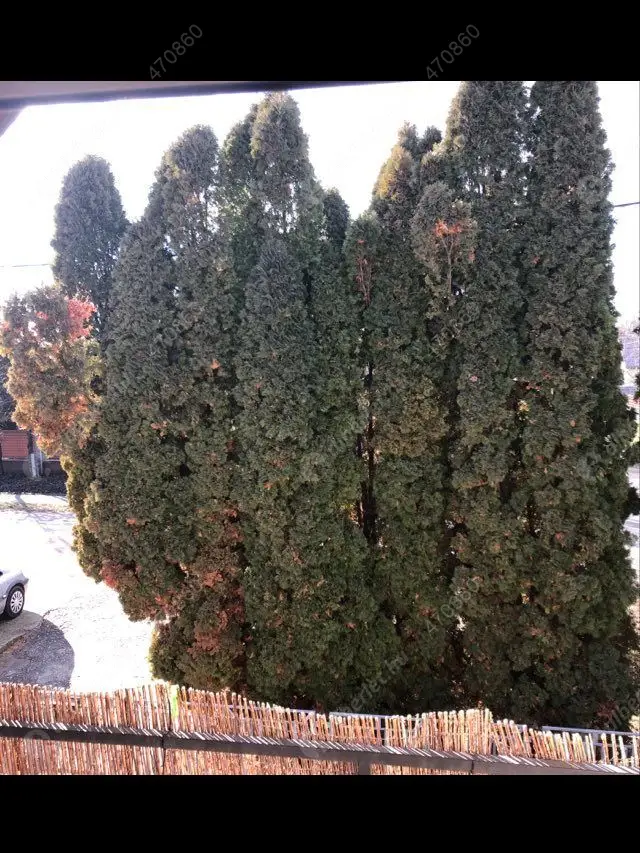 Kiadó albérlet 120000 Ft/hó áron: Szolnok,  Vízpart körút. Mérete: 42 nm, 1 szobás | Alberlet.hu - 5589051