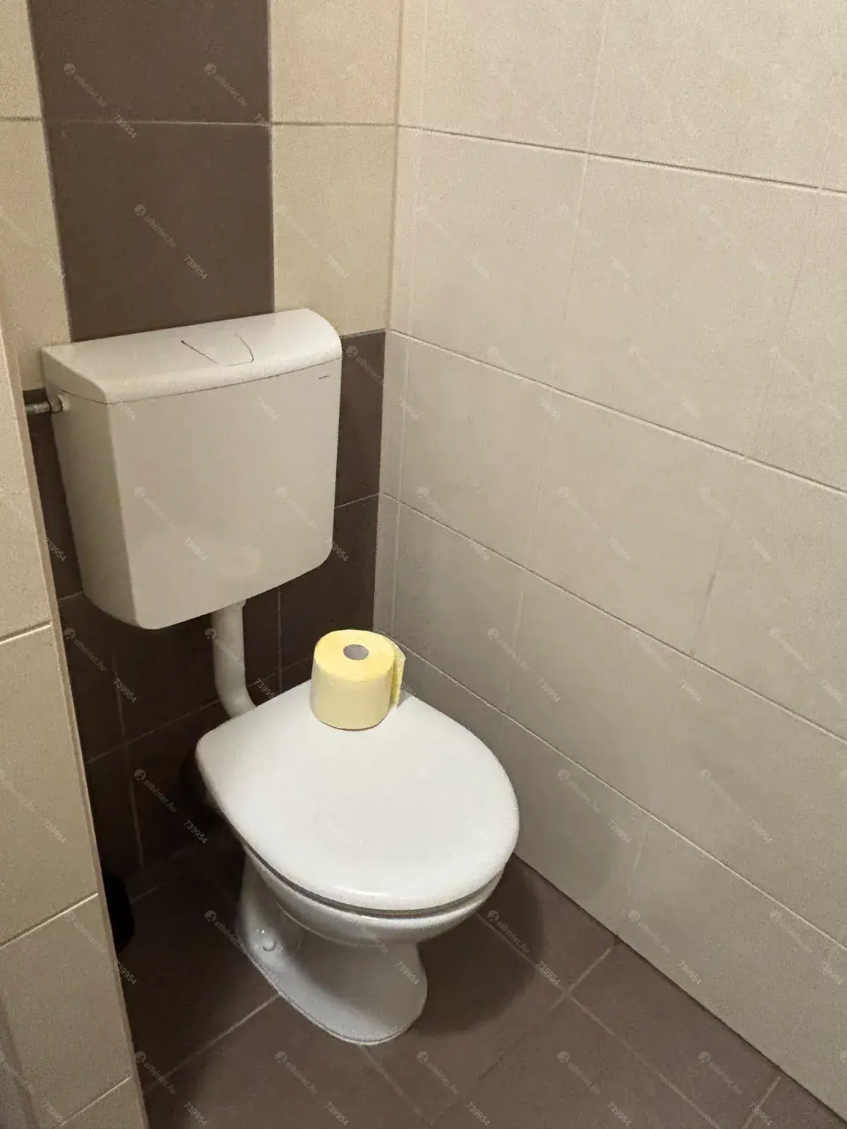 Kiadó albérlet 140000 Ft/hó áron: Táborfalva ,  Tarcsay út . Mérete: 54 nm, 2 szobás | Alberlet.hu - 6654743