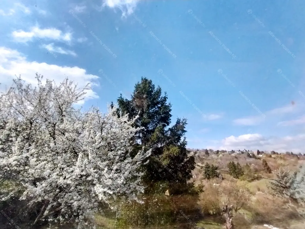 Kiadó albérlet 250000 Ft/hó áron: Törökbálint ,  Rozmaring utca. Mérete: 55 nm, 2 szobás | Alberlet.hu - 6692053