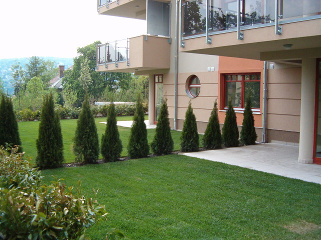 Új albérlet Ádám kert | Alberlet.hu - 167