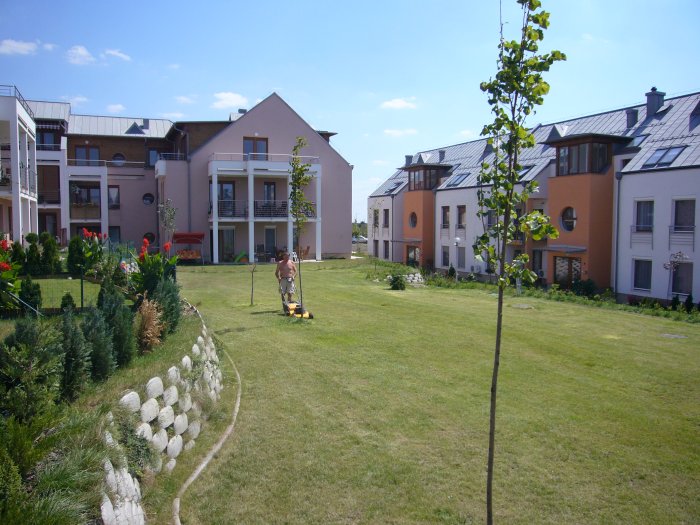 Új albérlet Európa Lakókert | Alberlet.hu - 365