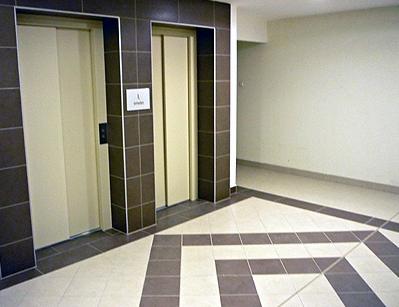 Új albérlet Velezda Park | Alberlet.hu - 350