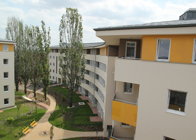 Új albérlet Nanette Viva | Alberlet.hu - 254