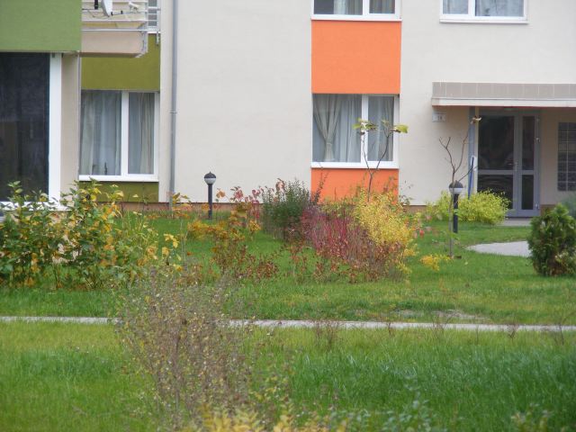 Új albérlet Reviczky Liget | Alberlet.hu - 285