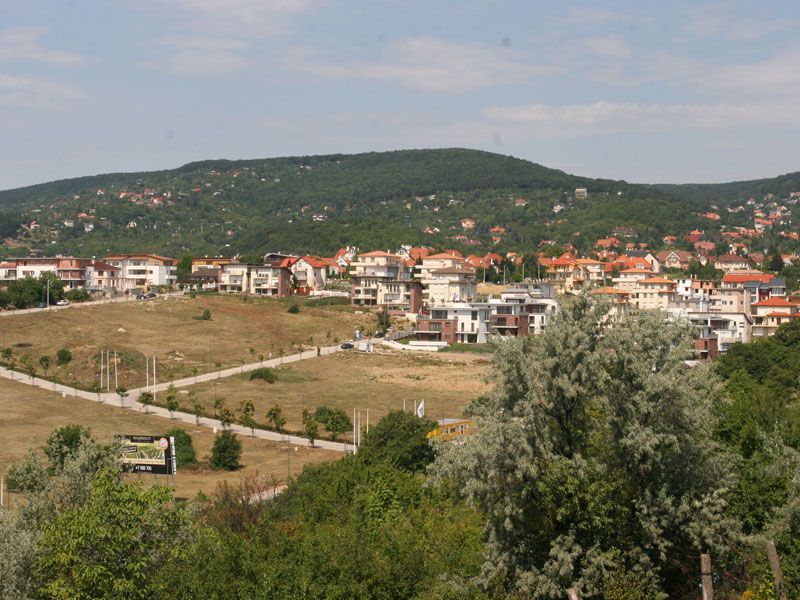 Új albérlet Madárhegy | Alberlet.hu - 463