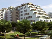 Új albérlet Pöttyös terasz | Alberlet.hu - 820