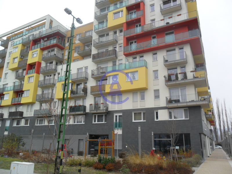 Új albérlet Dagály Sétány Lakópark | Alberlet.hu - 908