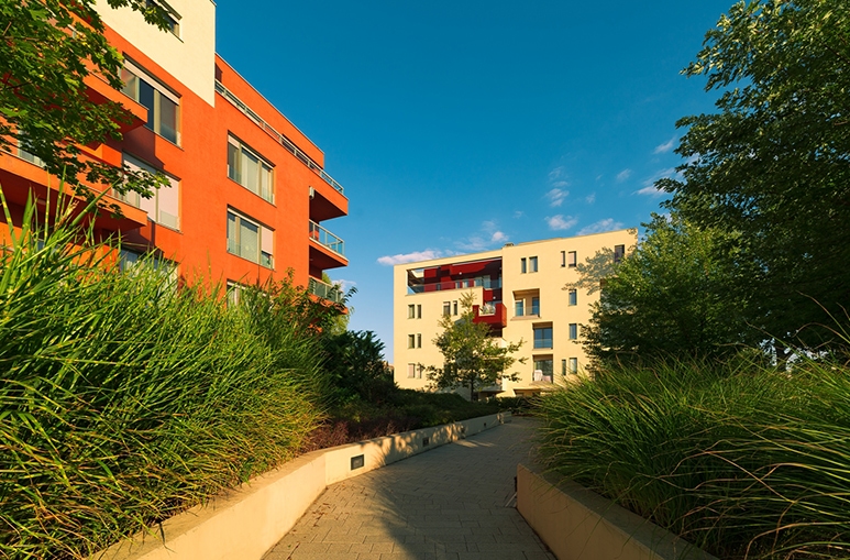 Új albérlet Sasad Liget | Alberlet.hu - 1197