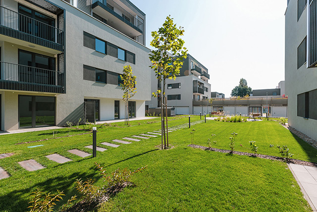 Új albérlet Fagyöngy Lakópark | Alberlet.hu - 1391