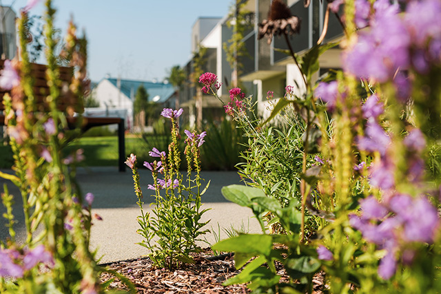 Új albérlet Fagyöngy Lakópark | Alberlet.hu - 1392