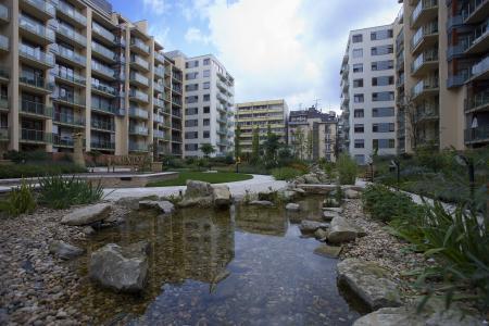 Új albérlet Római kert | Alberlet.hu - 73