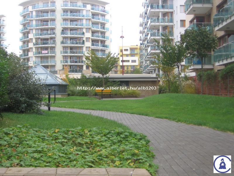 Új albérlet Marina Part | Alberlet.hu - 51