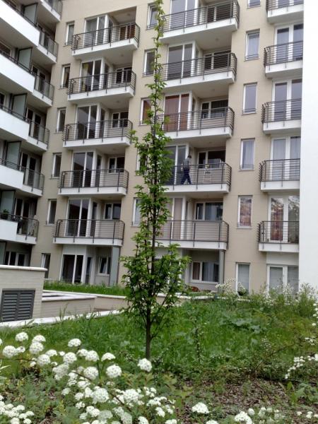 Új albérlet Mentha Park | Alberlet.hu - 111